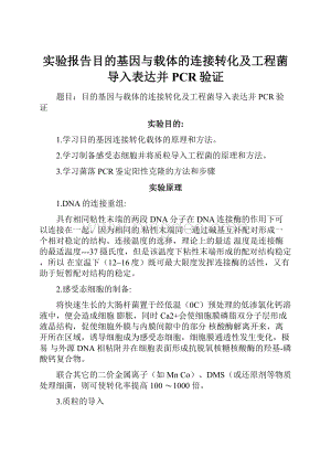 实验报告目的基因与载体的连接转化及工程菌导入表达并PCR验证Word文档格式.docx