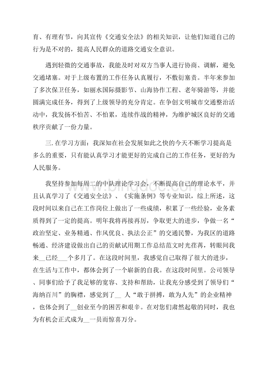 交警试用期工作总结Word下载.docx_第2页