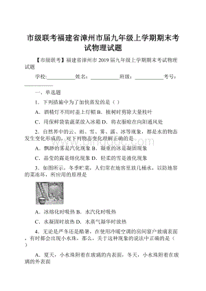 市级联考福建省漳州市届九年级上学期期末考试物理试题.docx