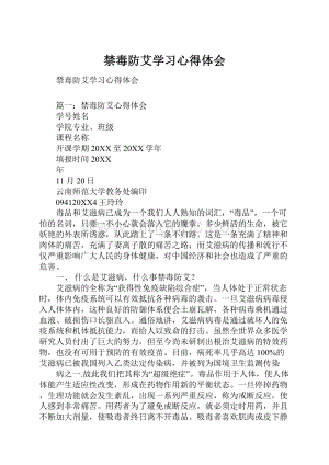 禁毒防艾学习心得体会文档格式.docx