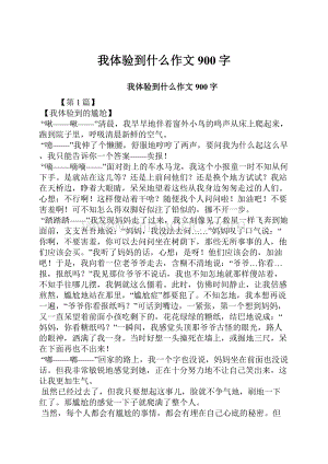 我体验到什么作文900字Word下载.docx