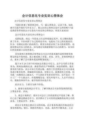 会计信息化专业实训心得体会.docx