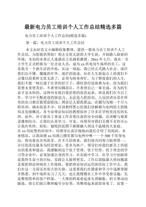 最新电力员工培训个人工作总结精选多篇Word格式.docx