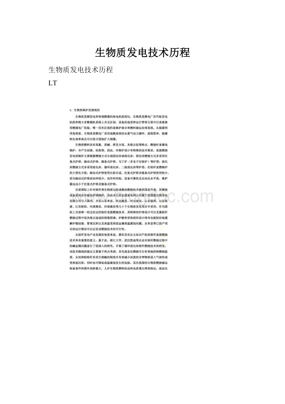 生物质发电技术历程Word文档下载推荐.docx_第1页