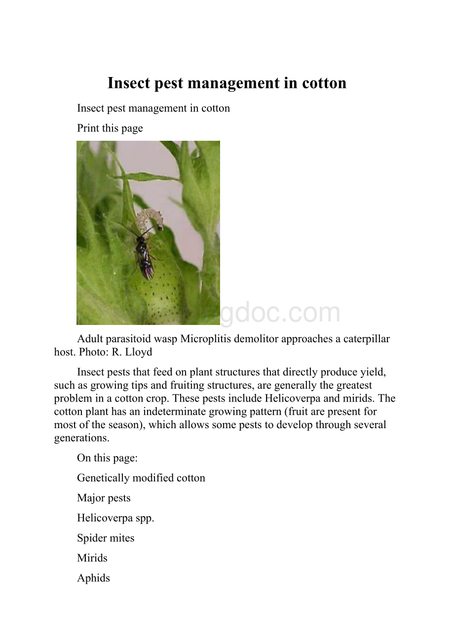 Insect pest management in cotton.docx