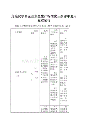 危险化学品企业安全生产标准化三级评审通用标准试行Word文档格式.docx