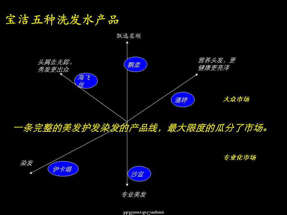 宝洁公司洗发水的差异化战略.ppt_第3页