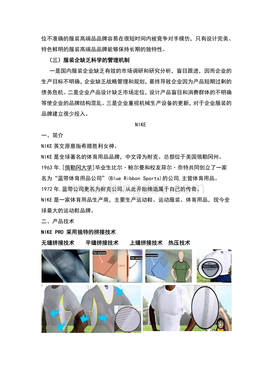 服装品牌战略Word文档下载推荐.doc_第2页