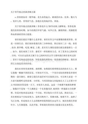 关于青年励志的演讲稿五篇Word格式文档下载.docx