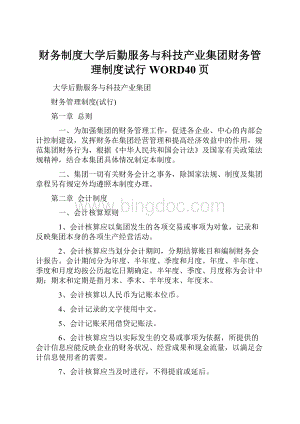 财务制度大学后勤服务与科技产业集团财务管理制度试行WORD40页Word下载.docx