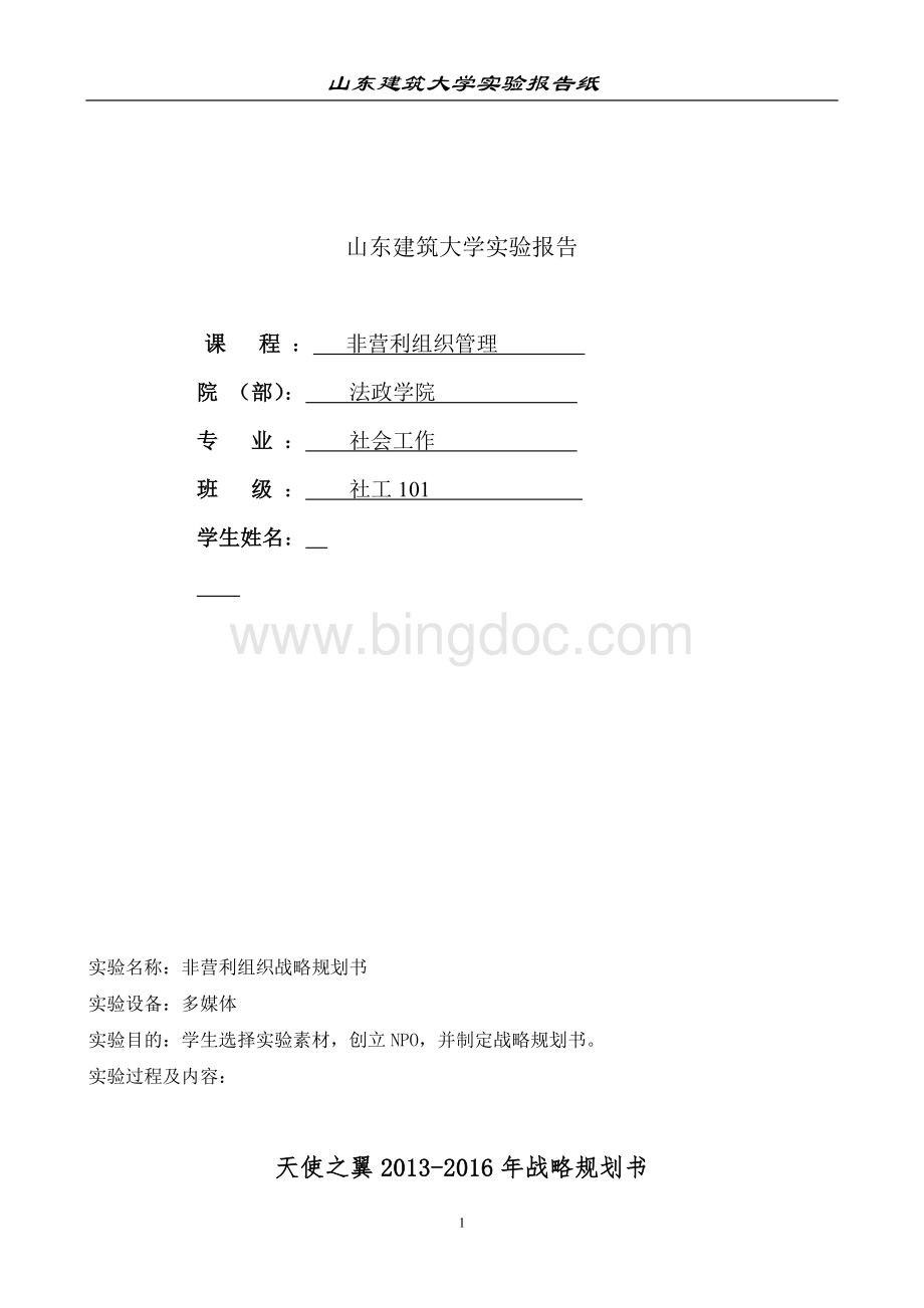 非营利组织管理战略规划书Word格式文档下载.doc_第1页