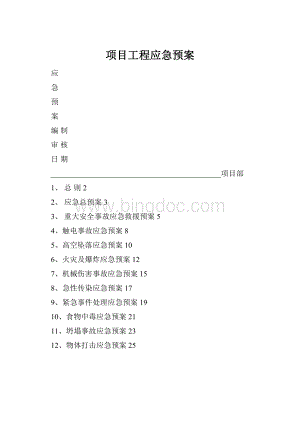 项目工程应急预案Word文档格式.docx