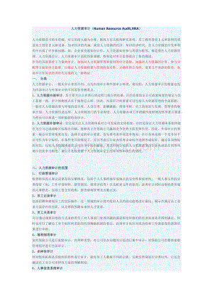 人力资源审计3文档格式.docx