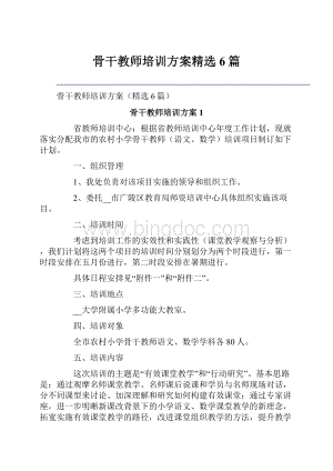 骨干教师培训方案精选6篇.docx