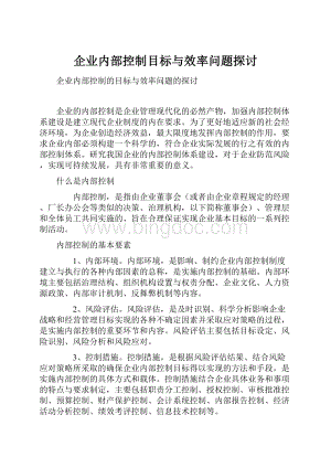 企业内部控制目标与效率问题探讨.docx