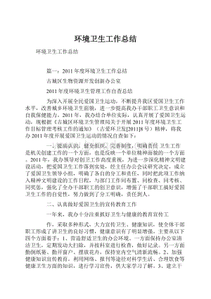 环境卫生工作总结.docx