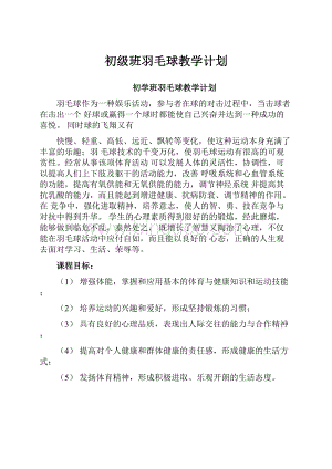 初级班羽毛球教学计划.docx