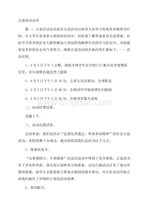 公益活动总结Word下载.docx