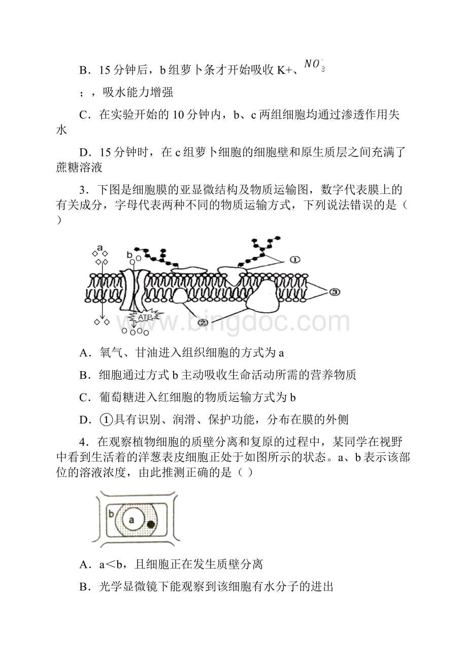 湖南湖南广益实验中学普通高中生物细胞的物质输入和输出及答案Word文档下载推荐.docx_第2页