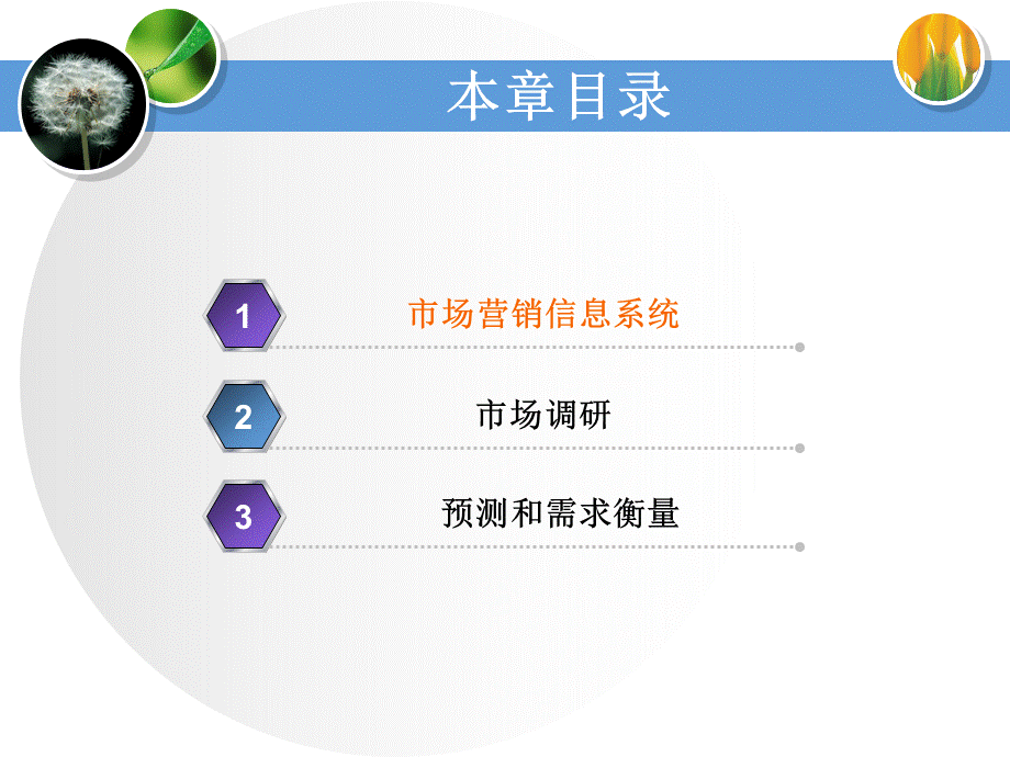 营销管理第三章PPT文件格式下载.ppt_第2页