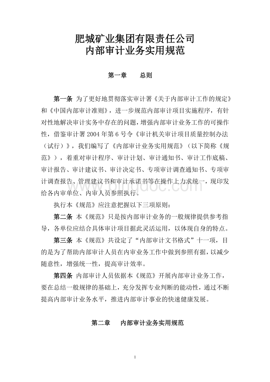 内部审计业务实用规范.内部审计业务实用规范Word文档下载推荐.doc_第1页