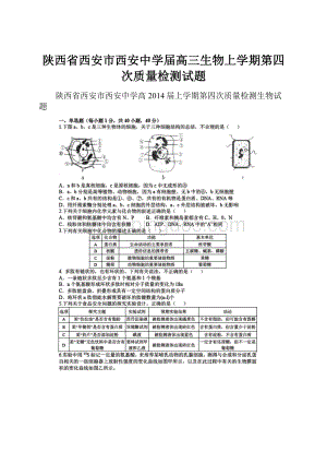 陕西省西安市西安中学届高三生物上学期第四次质量检测试题文档格式.docx