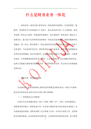 什么是财务业务一体化.pdf