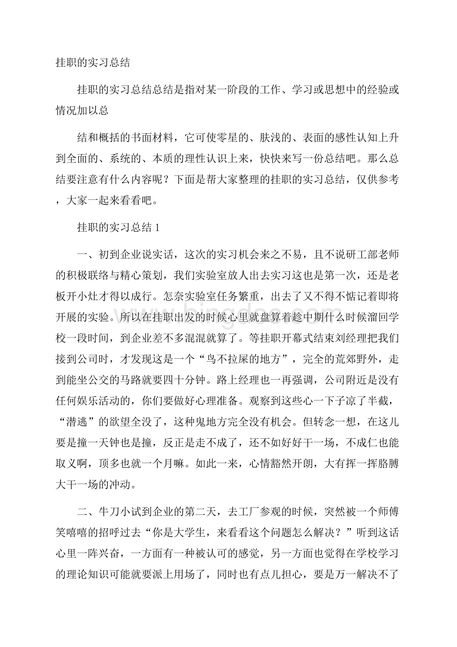 挂职的实习总结.docx