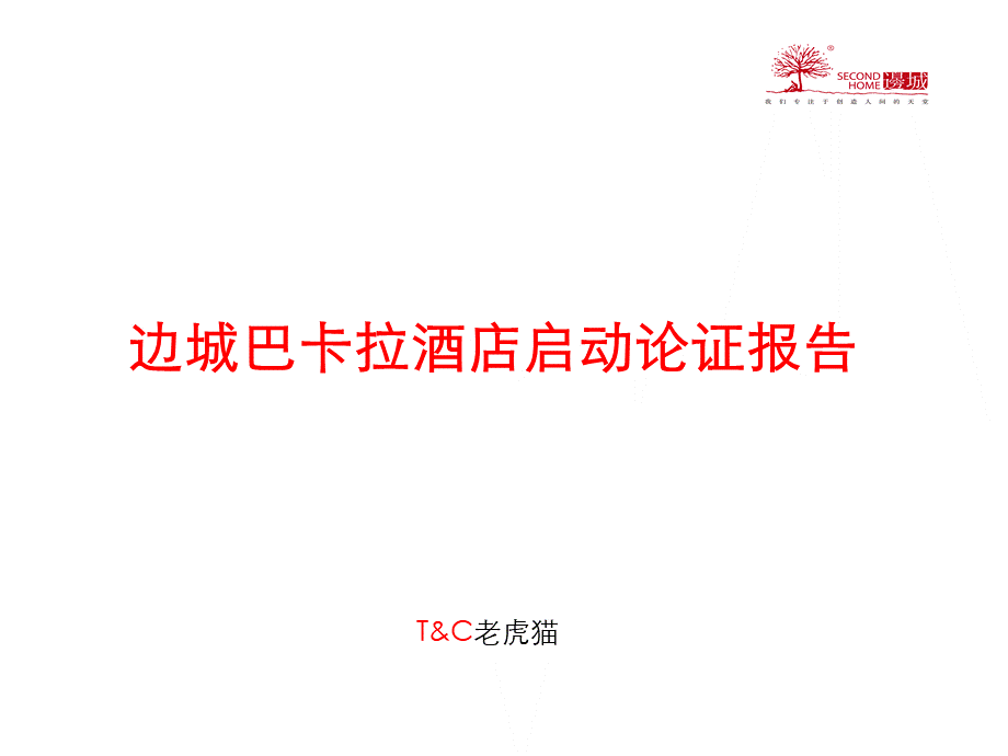 边城巴卡拉酒店启动论证报告.ppt