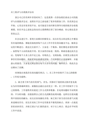 员工批评与自我批评总结Word文件下载.docx