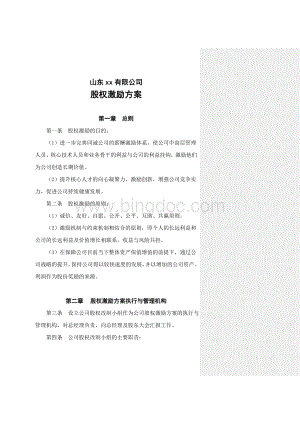 山东XX公司股权激励方案.doc