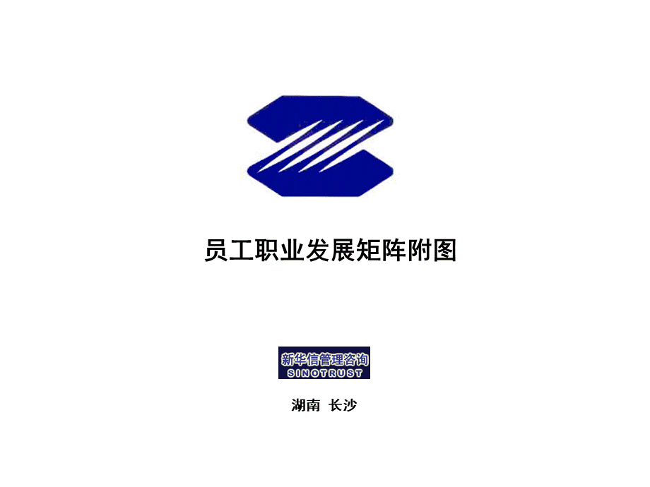 员工职业发展矩阵表格.ppt_第1页