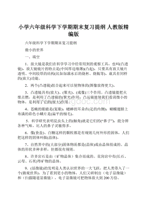 小学六年级科学下学期期末复习提纲 人教版精编版Word文档格式.docx