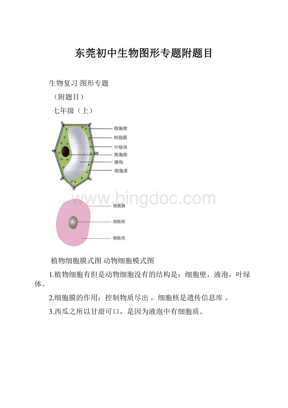 东莞初中生物图形专题附题目Word文档下载推荐.docx_第1页