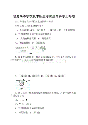 普通高等学校夏季招生考试生命科学上海卷.docx