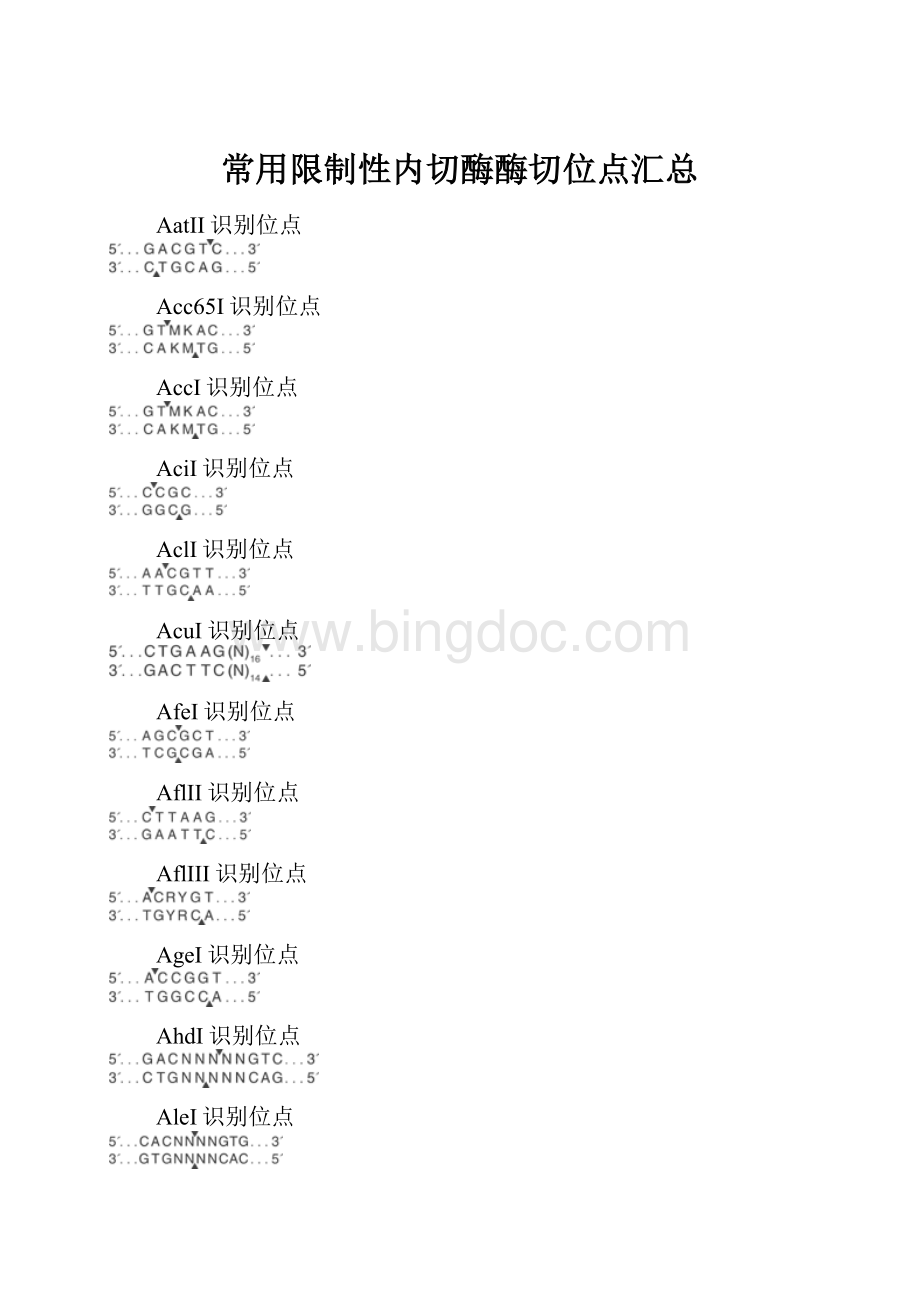 常用限制性内切酶酶切位点汇总Word文件下载.docx_第1页