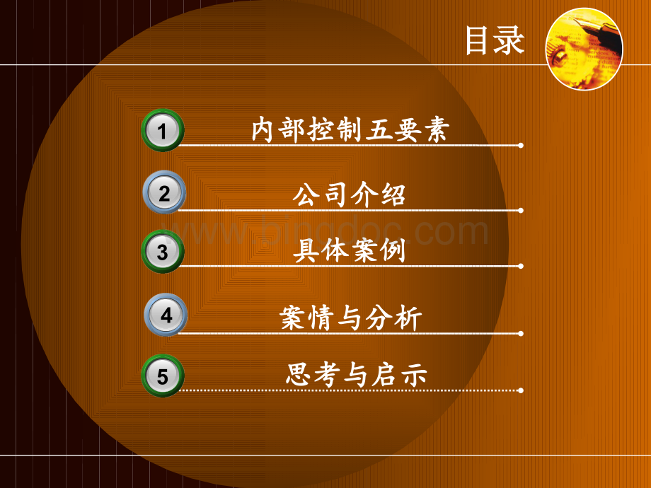 新华制药内部控制ppt.ppt_第2页