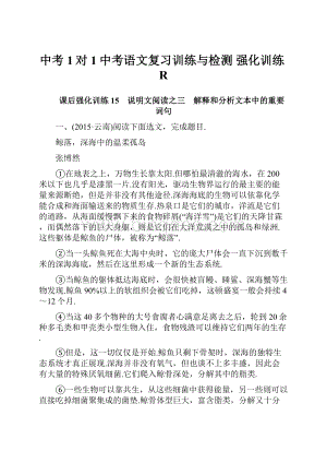 中考1对1中考语文复习训练与检测 强化训练R.docx