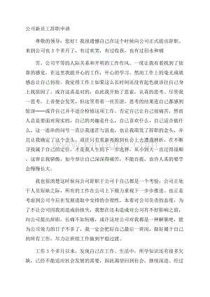 公司新员工辞职申请.docx