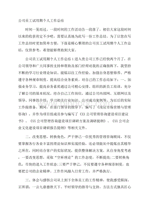 公司员工试用期个人工作总结.docx