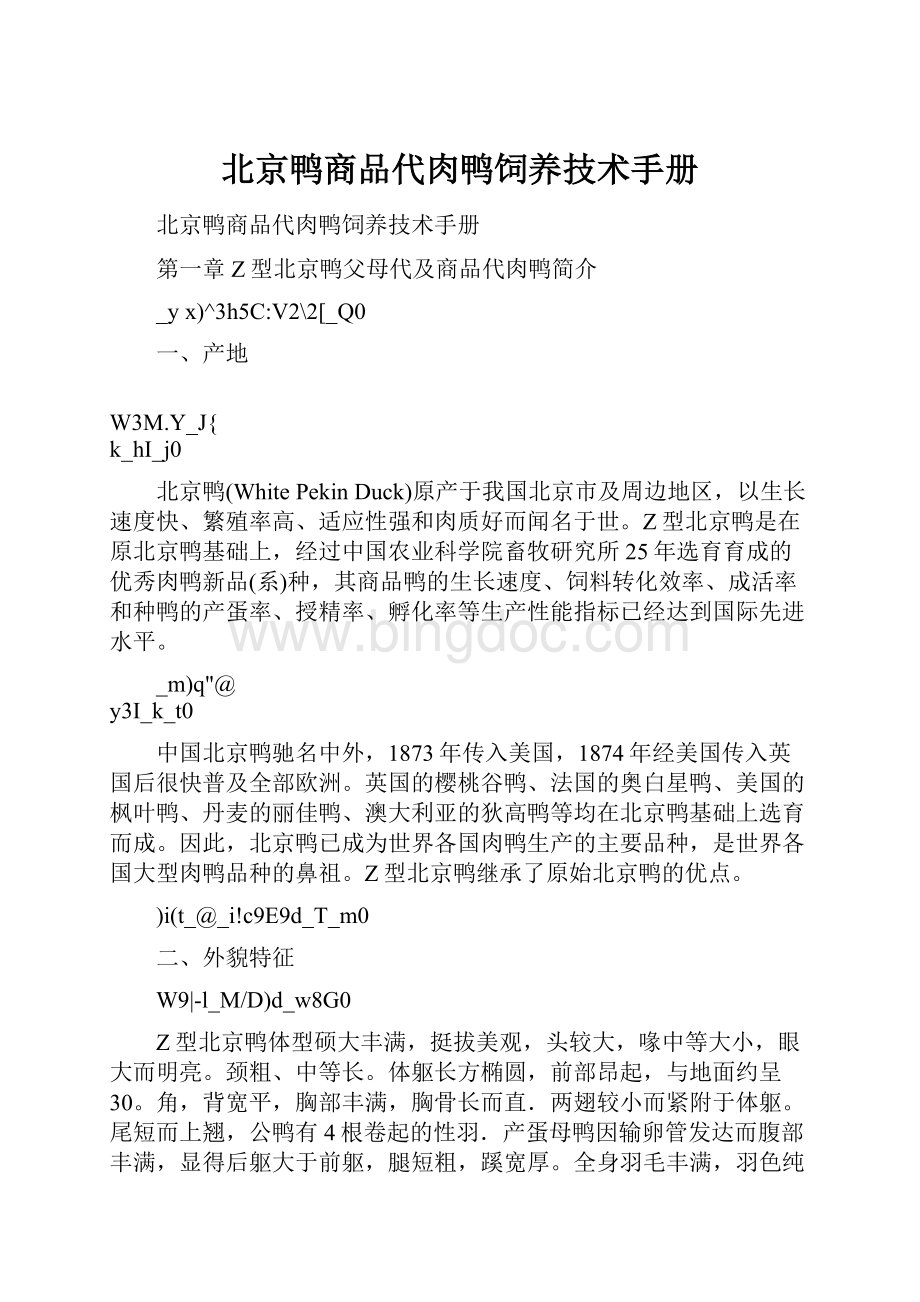 北京鸭商品代肉鸭饲养技术手册.docx