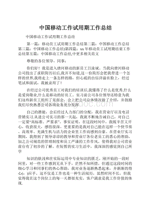 中国移动工作试用期工作总结Word格式文档下载.docx