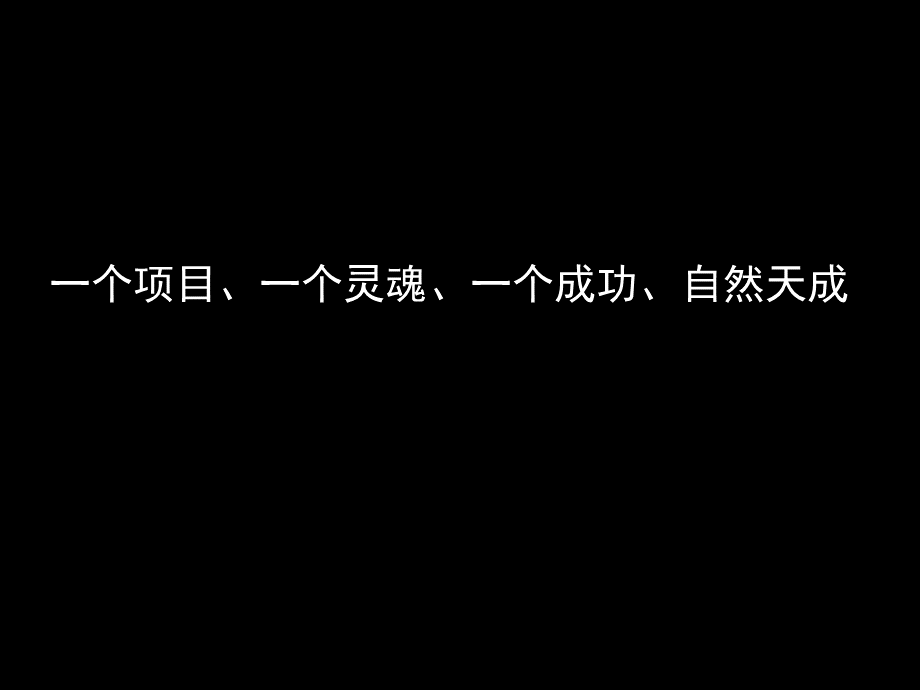 吉林市巴塞罗那项目提案报告.ppt