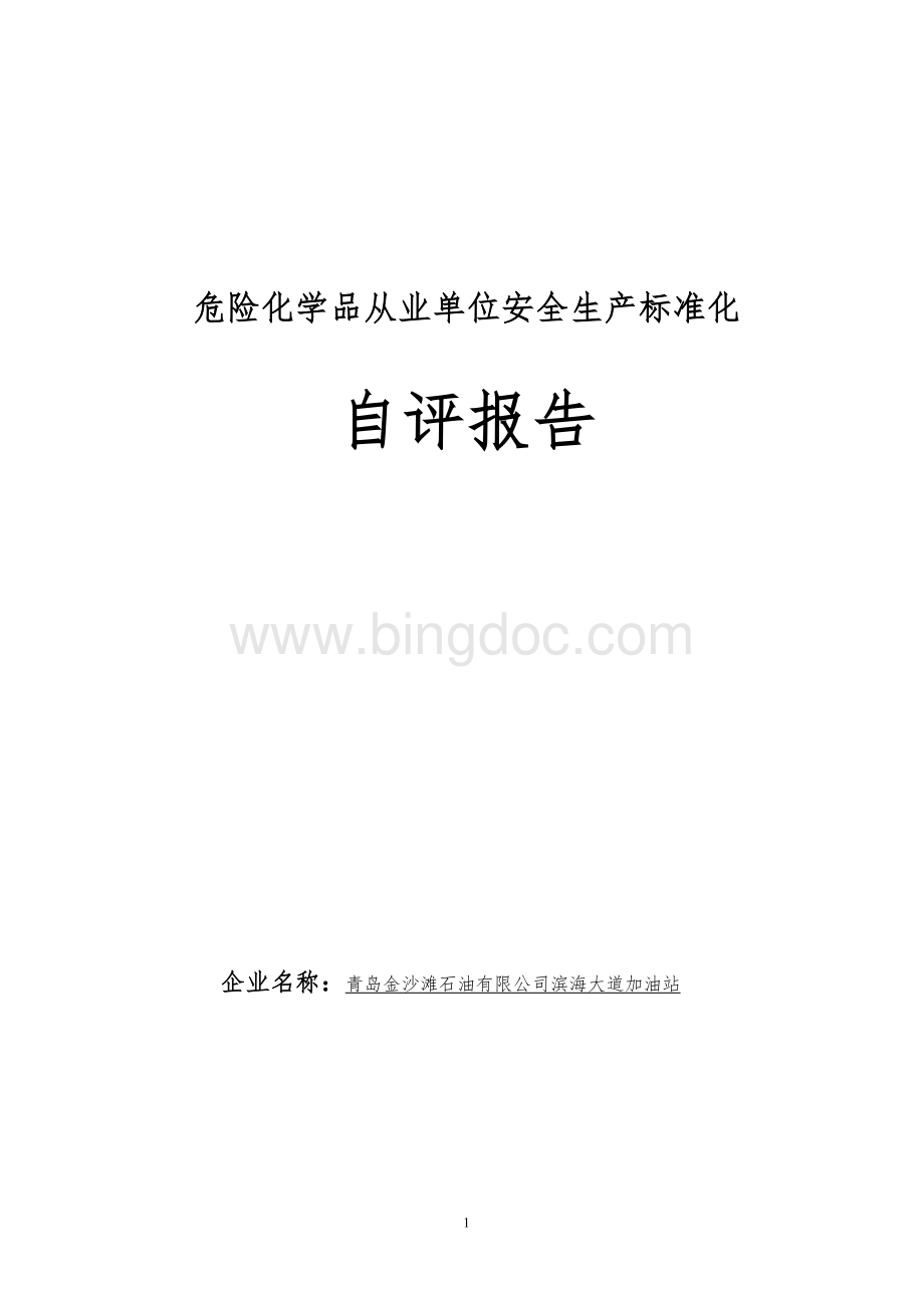 安全生产标准化企业自评报告-cankao.doc_第1页