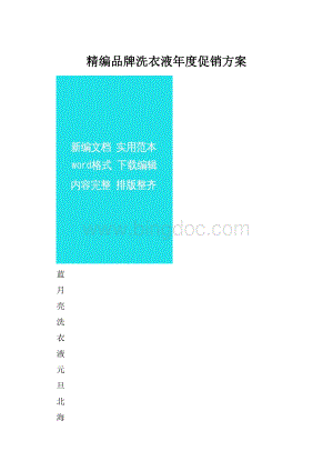 精编品牌洗衣液年度促销方案.docx