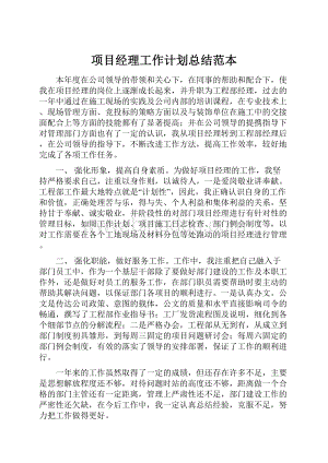 项目经理工作计划总结范本.docx