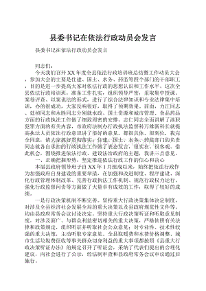 县委书记在依法行政动员会发言Word文档格式.docx