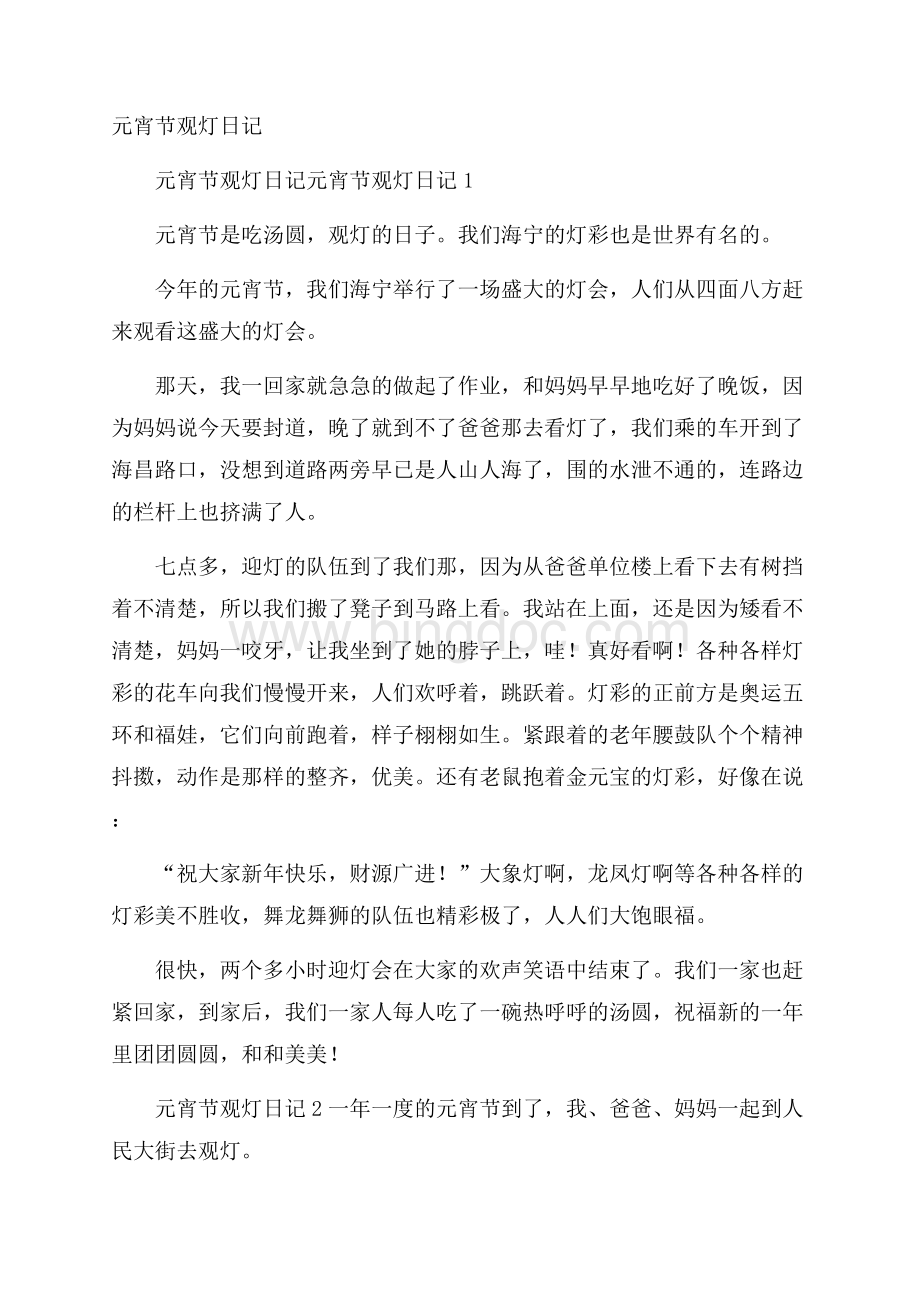 元宵节观灯日记Word格式文档下载.docx_第1页