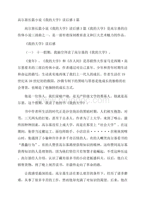 高尔基长篇小说《我的大学》读后感3篇.docx