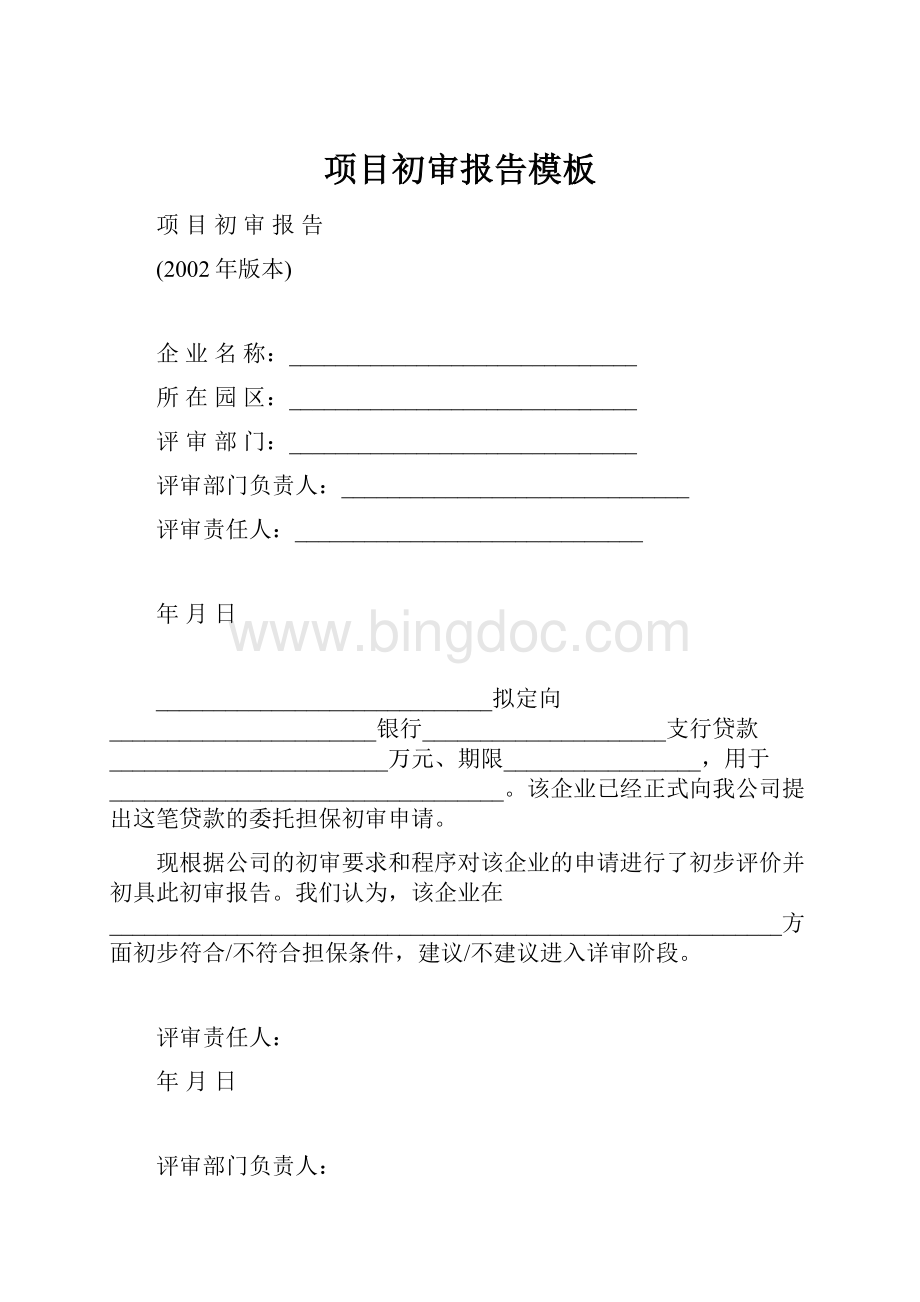 项目初审报告模板文档格式.docx_第1页